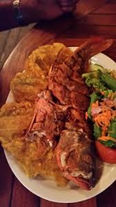 Rods are essential to casting and presenting the bait or lure to attract fish. Delicious Fish Tacos Picture Of Fish Hook Marina Lodge Golfito Tripadvisor