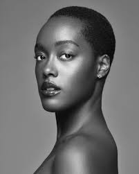 JL. Model Management