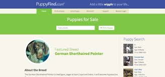 We have created a list of some best dog selling websites operating worldwide that you can use to sell and buy dogs online. How To Sell Puppies Online 25 Tips Tricks Doggie Designer