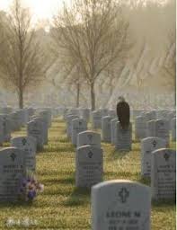 Standing Guard A Picture Worth A Thousand Words The Story Behind The Photo Is Even Better Click Through To Read Tombstone Pictures Bald Eagle Pictures