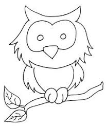 This time the owl is featured through 20+ cute owl coloring printables. Eva Owl Diaries Coloring Pages Novocom Top