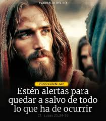 Papa Francisco: Cómo rezar cuando no tenemos ganas. A menudo, sucede que,  no rezamos, que no tenemos ganas de rezar, o muchas veces rezamos como  loros.