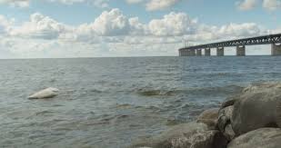 Url consultato il 20 ottobre 2006 (archiviato dall'url originale il 14 novembre 2006). Oresundsbron Stock Footage Royalty Free Stock Videos Pond5