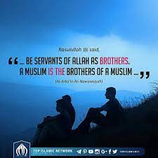 Pin On Islamic Quotes