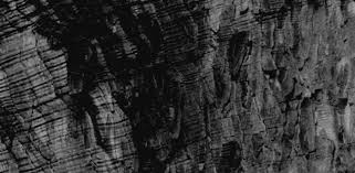 Image result for Pandiaka welwitschii