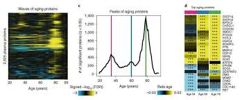 Editions du rocher nombre de pages: Sante 34 60 Et 78 Ans Voici Les Trois Ages Cles De Notre Vieillissement