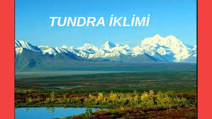 D) iii numaralı bölge yaz aylarında bol miktarda yağış alır. Tundra Iklimi By Emine Saricicek
