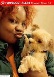 Lost Dog Benji in Kansas City, Missouri, Near 38th and Linwood