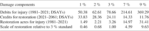 Discounting in Natural Resource Damage Assessment