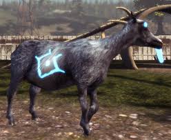 Nov 17, 2017 · to unlock the holiday antler hat throw something at the owl outside or use the drone to bump him. Uncle Goat Official Goat Simulator Wiki