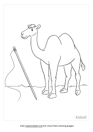 The original format for whitepages was a p. Camel And Needle Coloring Pages Free Animals Coloring Pages Kidadl