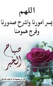 Pin By صلي على النبي On صباحات ومسائات In 2020 Beautiful Morning Messages Good Morning Arabic Good Morning Flowers