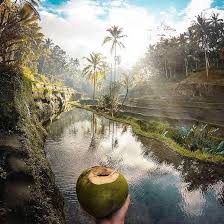 Indonesia, officially the republic of indonesia, is a country in southeast asia and oceania between the indian and pacific oceans. Ø±Ø­Ù„Ø§Øª Ø³ÙŠØ§Ø­ÙŠÙ‡ Ø§Ù„Ù‰ Ø¬Ø²ÙŠØ±Ù‡ Ø¨Ø§Ù„ÙŠ Ø§Ù†Ø¯ÙˆÙ†ÙŠØ³ÙŠØ§ Home Facebook