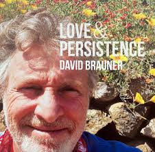 DAVID BRAUNER: Love & Persistence