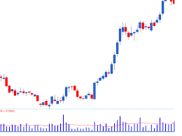 volumes varsity by zerodha