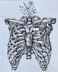 You can enhance your drawing skills. Rib Cage Done By Me Drawing