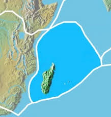 Image result for Brillantaisia madagascariensis