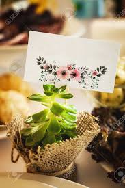 29 inch tall x 10 inch wide. Festive Wedding Table Decorated With An Unusual Cactus Plant Stock Photo Picture And Royalty Free Image Image 104510197