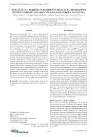 PDF) Molecular and biophysical mechanisms regulating hypertrophic  differentiation in chondrocytes and mesenchymal stem cells
