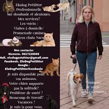 Petsitter Joyeux Compagnons - Garde à votre domicile de chats, chiens et autres animaux de compagnie - Promenade de chien