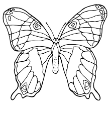 Disegno farfalle 96 disegno di animali disegni da colorare modello di farfalla. Farfalle Disegni Per Bambini Da Colorare