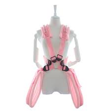 Amazon.com: Pink Nylon Stand and Carry Position Carrier Helper Free Size :  Health & Household