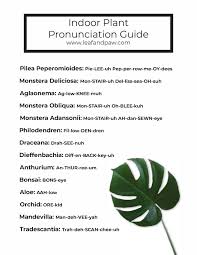 Pronunciation of matte with 3 audio pronunciations, 19 synonyms, 3 meanings, 19 sentences and more for matte. Indoor Plant Pronunciation Plants Indoor Plants Names Indoor Plants