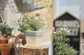 shops we love 送99枝玫瑰已經過時 參考韓國的清新小花束吧 hokk fabrica flowers planter pots bloom
