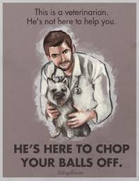 Aesthetic or funny slogans are likely to make your audience laugh as well as communicate a message. 23 Spay Neuter Ideas Neuter Spay Pets