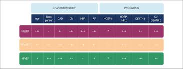 Heart Failure With Mid Range Ejection Fraction State Of