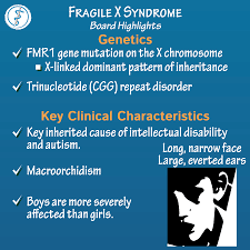 Fragile X Syndrome Pathology Flashcards Draw It To Know It