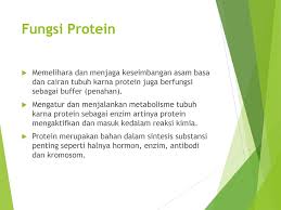 Pengertian makanan pada bidang biologi, jenis, kandungan dan fungsi bagi tubuh. Fungsi Protein Bagi Tubuh Adalah