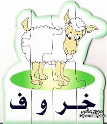 Pin On Rana