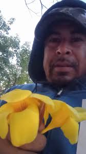 En pocas palabras flores para ti mujer asepta mi humilde obsequio  #gabrielchaparro #escritor #compositor #sinaloamexico