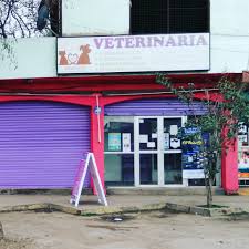 Yanez Richter Marcela Cecilia