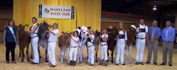 4-H'ers Win High Honors at Maryland State Fair Dairy Show