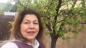 @patricia_dingus's video Tweet