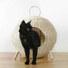 楽天市場 送料無料 沖縄を除く ラタンキャットハウス 猫のおうち ネコグッズ ねこ 籐製 かご 小型犬 犬小屋 隠れ家 宇宙船 ナチュラル インテリア ペット用品 アート 個性的 ペットグッズ cat リゾート プ evcil hayvan aksesuarlari evcil hayvanlar hayvan