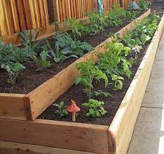 Raised Vegetable Garden Layout Gardens Vegetable Layout Garden Gardens Layout Raised Vegetable Idees Jardin Jardin Potager Amenagement Jardin