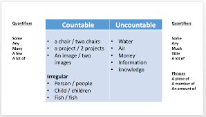 Lisa has much knowledge about this topic. Uncountable Nouns Countable Nouns Eap Lesson Academic English Uk