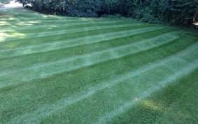 Maybe you would like to learn more about one of these? Professional Reliable Affordable Lawn Care Landscaping Service