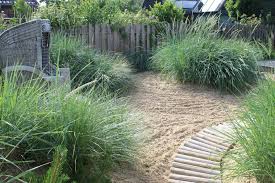 Pin Von Birte Noll Auf Garten Dunengarten Grasergarten Strandgarten Kustengarten Gartengestaltung Garten Design Garten