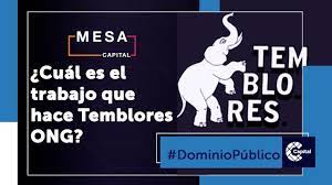 Creemos en un movimiento social que sacuda las placas policarpa, la clínica de justicia ambulante de temblores ong, busca garantizar el acceso a la. Cual Es El Trabajo Que Hace Temblores Ong Dominio Publico Mesa Capital Youtube