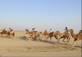 نتيجه تصويري براي عكس هاي از گورزين