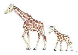 Download Outline Baby Giraffe Clipart