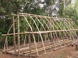 Exemple De Serre En Bambou Greenhouse Made With Bamboo Bambous Jardin Amenagement Jardin Serre Jardin