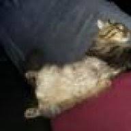 Ab wann ein leichnam anfängt zu riechen ist sehr individuell, da die prozesse im körper bei jedem verstorbenen in einem anderen tempo. Wann Lost Sich Die Totenstarre