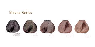How about ion hair color chart? Satin Hair Colors Buy Online Hair Colors Ysb Beauty