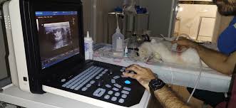 گالری بخش تصویر برداری | کلینیک آدورینا