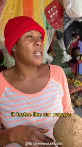 Have you ever eaten mamey fruit?